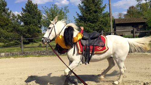 laura-encolure-cheval